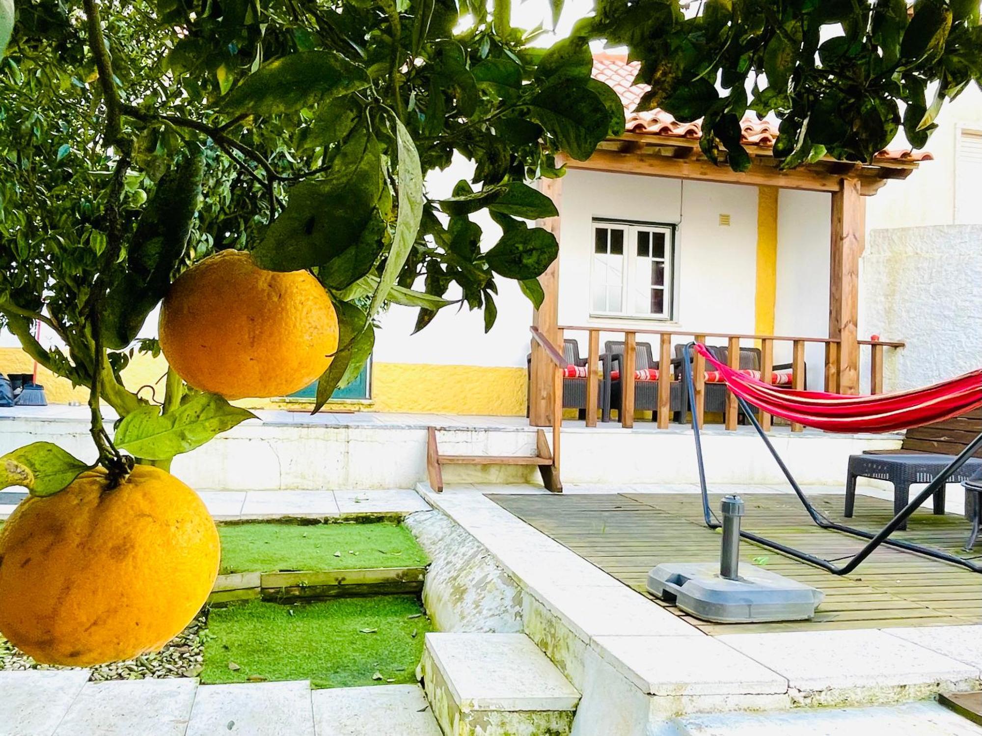 Casa Da Laranjeira Villa Vale Covo  Kültér fotó